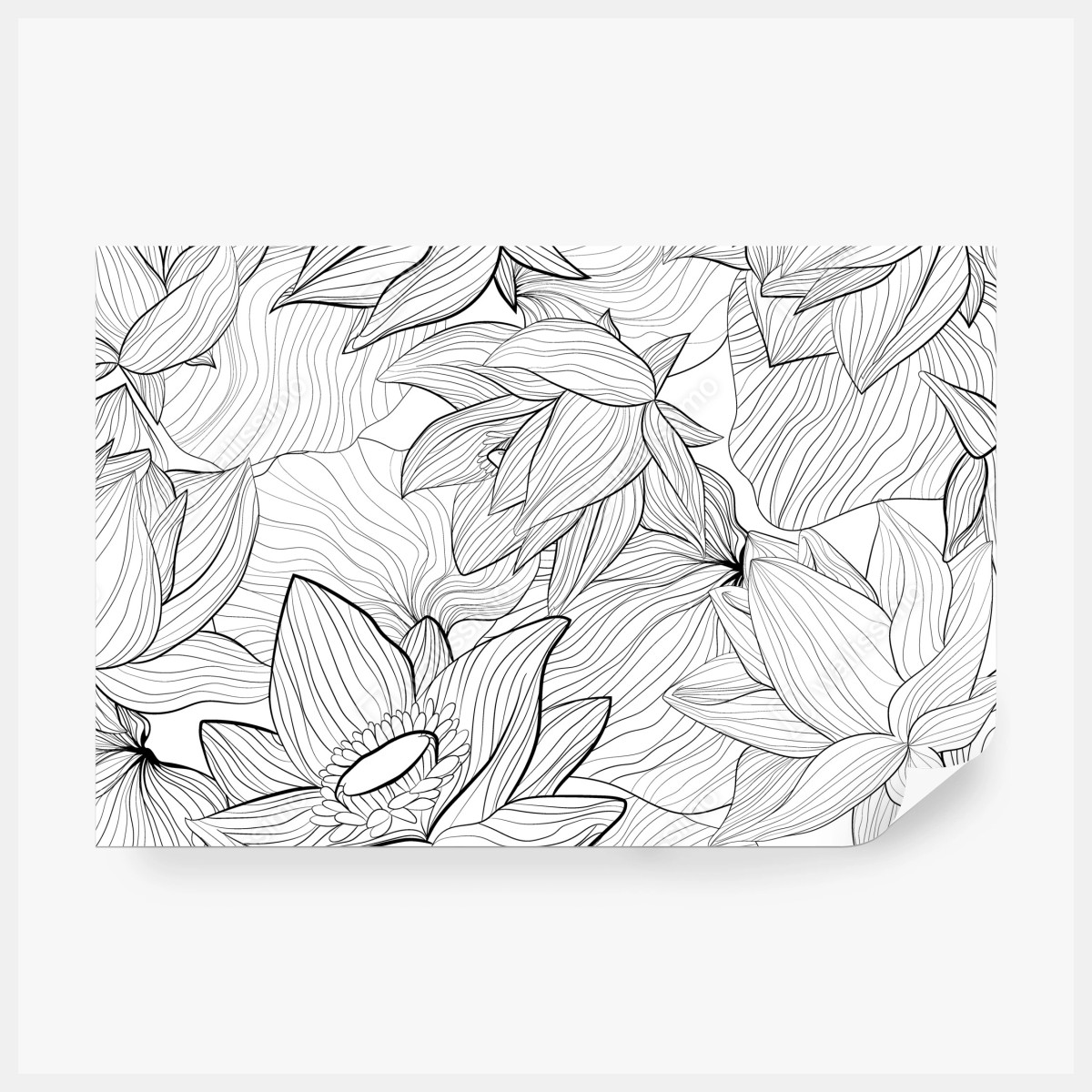 Fototapeta delikatny rysunek lotosu w czerni i bieli – Wallissimo® Fototapeta delikatny rysunek lotosu w czerni i bieli – Wallissimo®