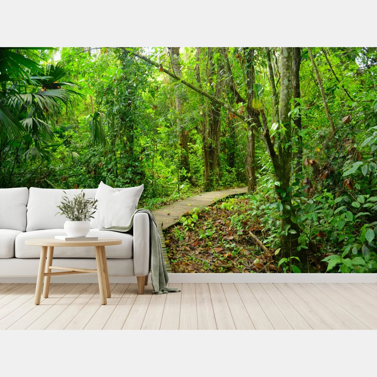 Fototapeta tropikalna kładka w bujnym lesie – Wallissimo® Fototapeta tropikalna kładka w bujnym lesie – Wallissimo®