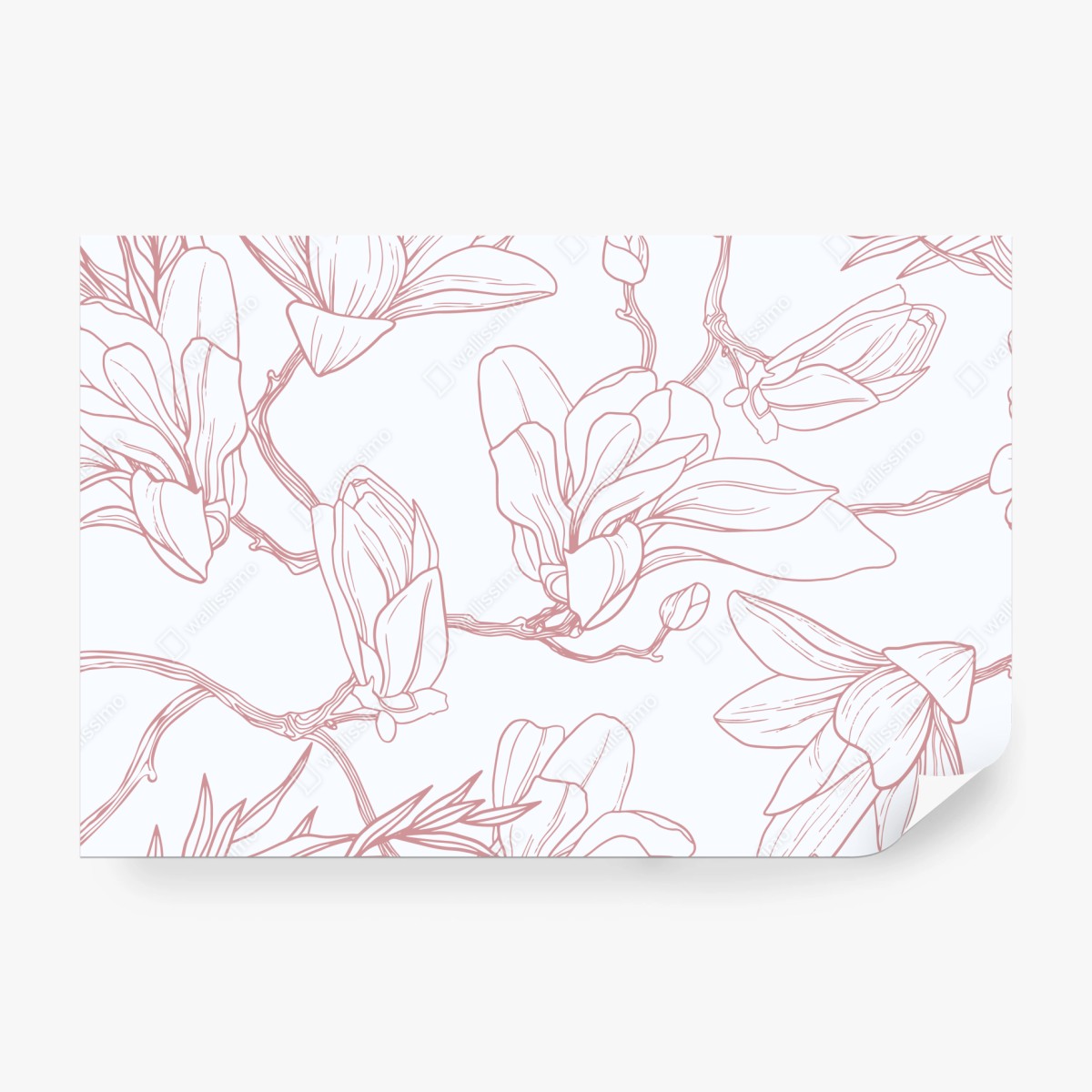 Fototapeta delikatny wzór magnolii w miękkim różu – Wallissimo® Fototapeta delikatny wzór magnolii w miękkim różu – Wallissimo®