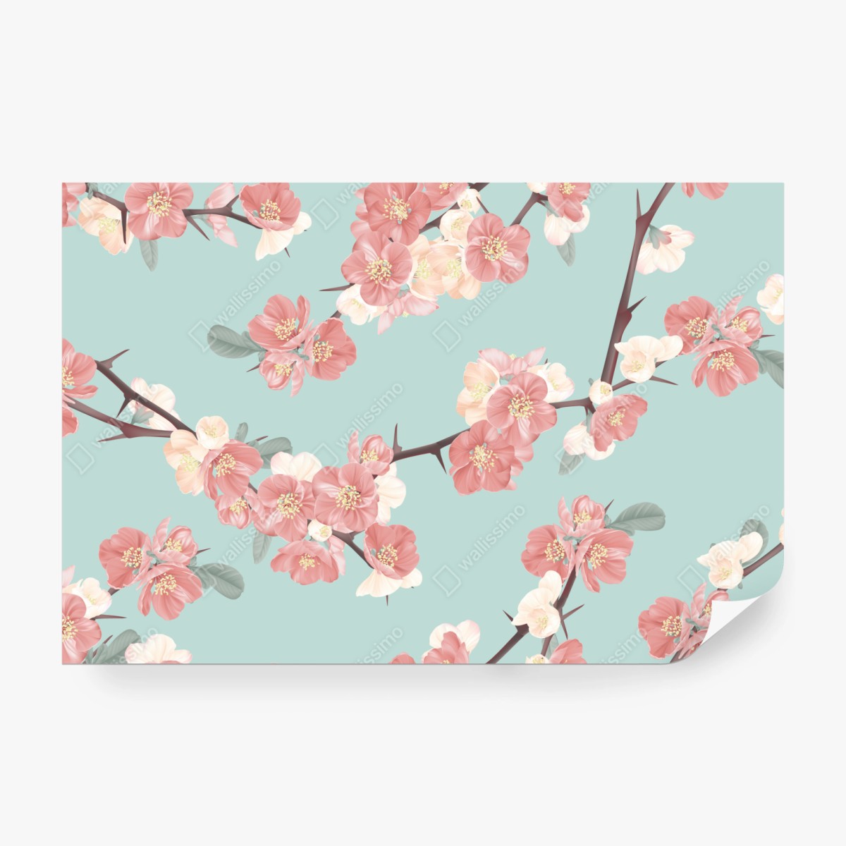 Fototapeta pastelowy wzór kwiatów wiśni na miętowym tle – Wallissimo® Fototapeta pastelowy wzór kwiatów wiśni na miętowym tle – Wallissimo®