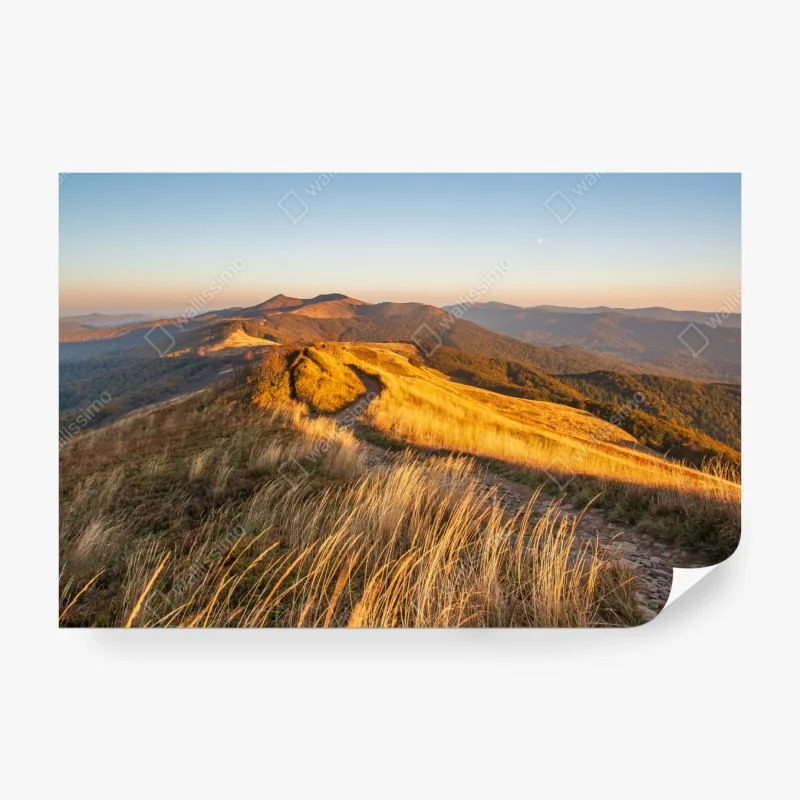 Fototapeta różowy akwarelowy wzór z okręgami i złotymi akcentami – Wallissimo®