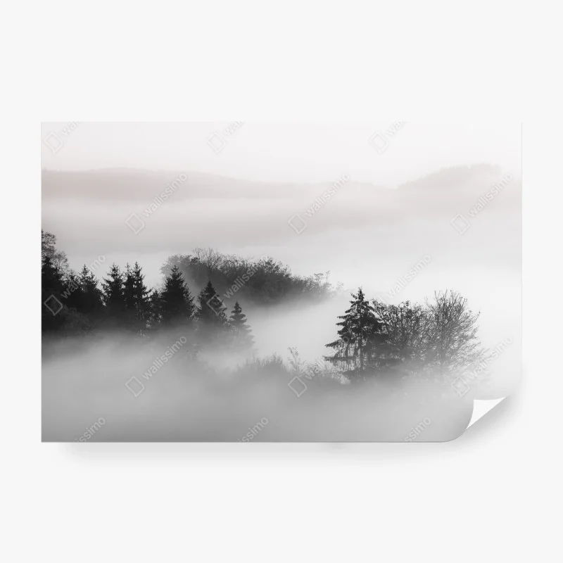 Fototapeta zachód słońca nad zatoką Villefranche-sur-Mer – Wallissimo®