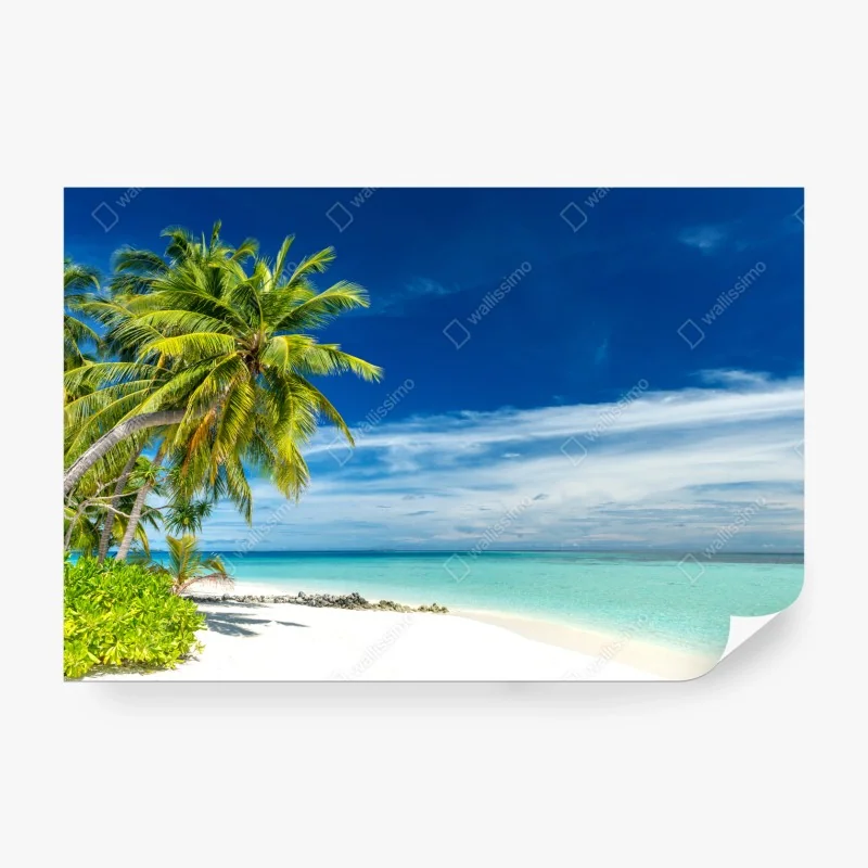 Fototapeta vintage kolaż etykiet piwnych – Wallissimo®