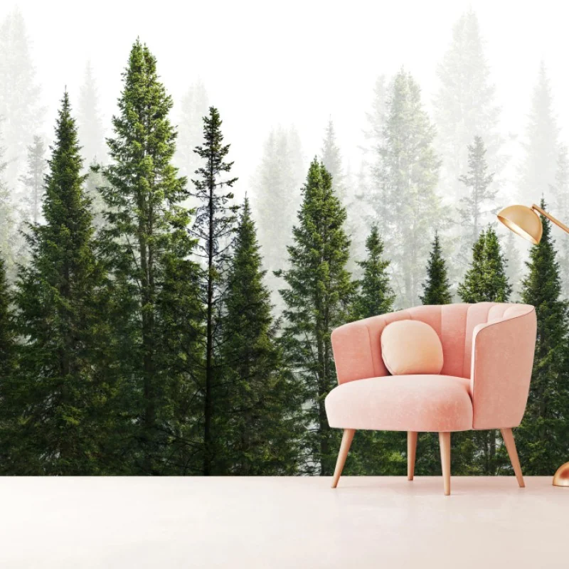 Fototapeta mglisty las jodłowy – Wallissimo® Fototapeta mglisty las jodłowy – Wallissimo®