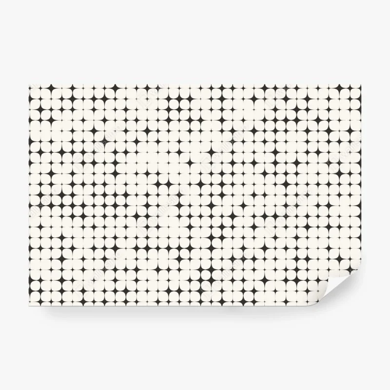 Fototapeta uścisk słoni czarno-biały portret – Wallissimo®