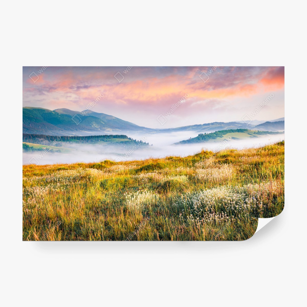 Fototapeta mglisty poranek w Borżawie – Wallissimo® Fototapeta mglisty poranek w Borżawie – Wallissimo®