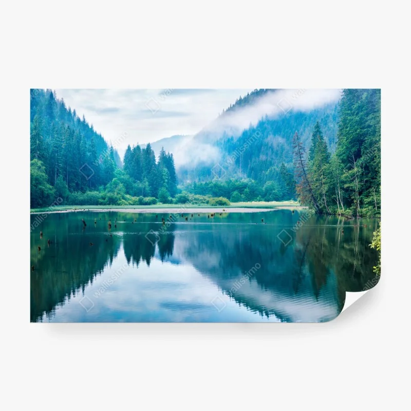 Fototapeta pastelowy turkusowy wzór kwiatowy na miętowym tle – Wallissimo®