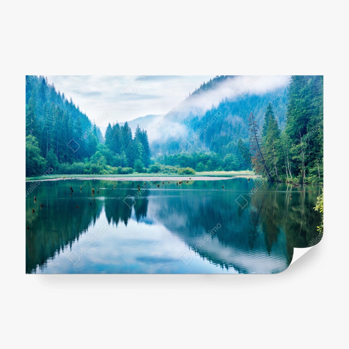 Fototapeta mglisty poranek nad jeziorem Lacu Rosu, Rumunia – Wallissimo® Fototapeta mglisty poranek nad jeziorem Lacu Rosu, Rumunia – Wallissimo®