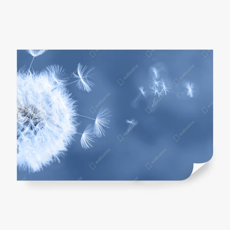 Fototapeta wzór z piórami w granacie i różu – Wallissimo®