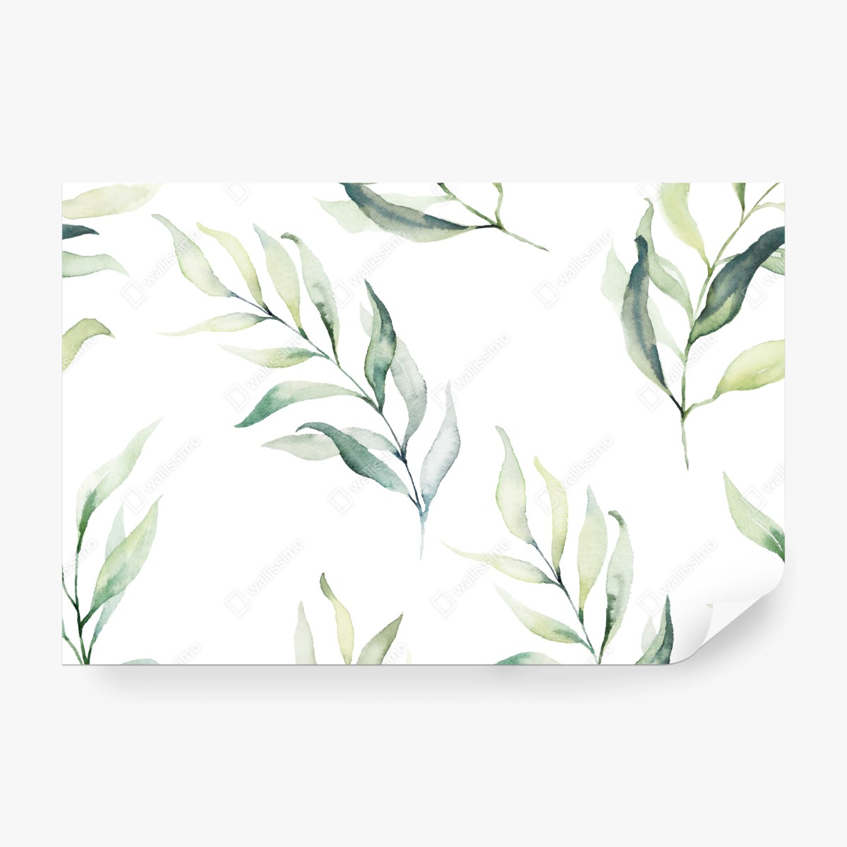Fototapeta delikatny akwarelowy wzór z liśćmi eukaliptusa – Wallissimo®