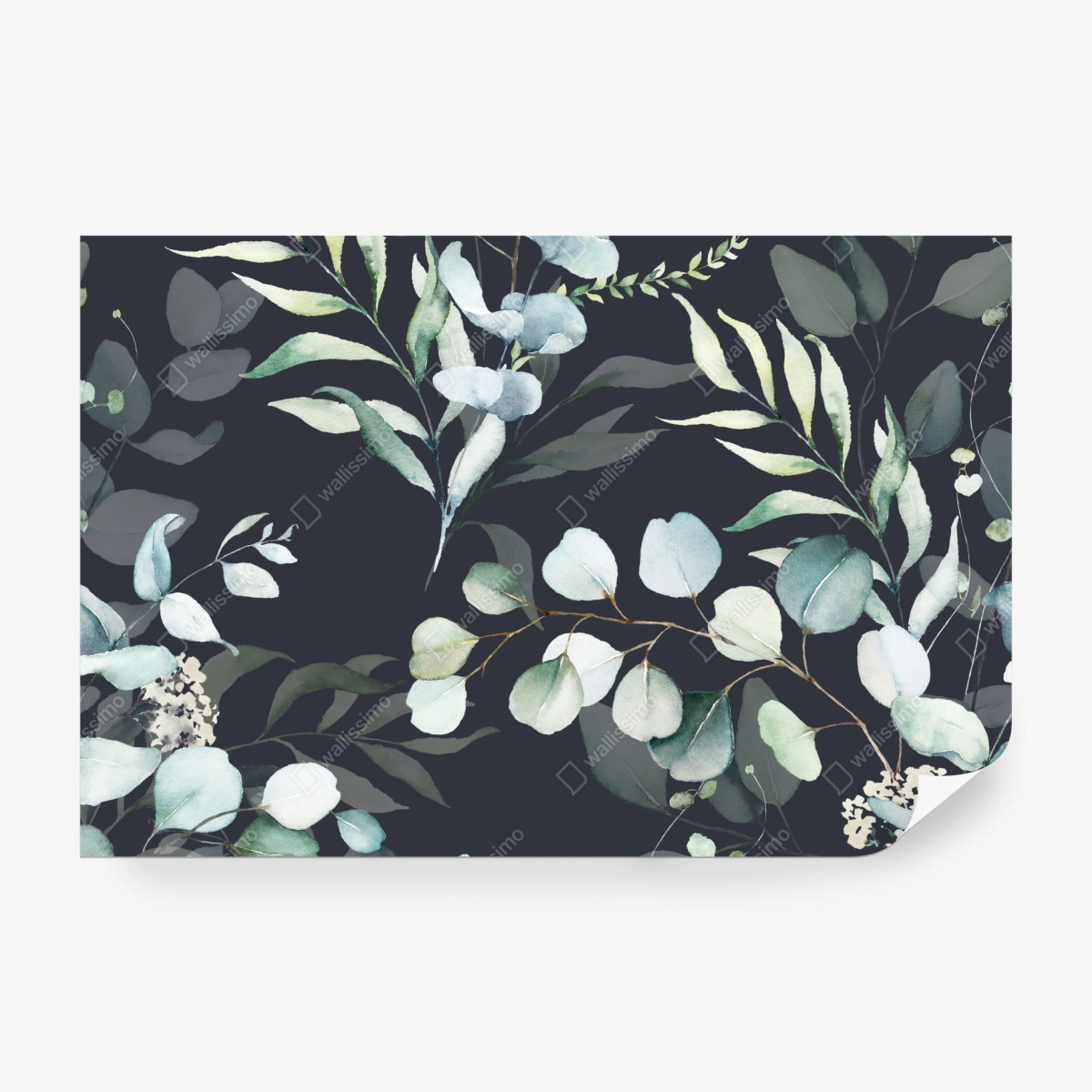 Fototapeta wzór botaniczny eukaliptusa w akwareli na ciemnym tle – Wallissimo® Fototapeta wzór botaniczny eukaliptusa w akwareli na ciemnym tle – Wallissimo®
