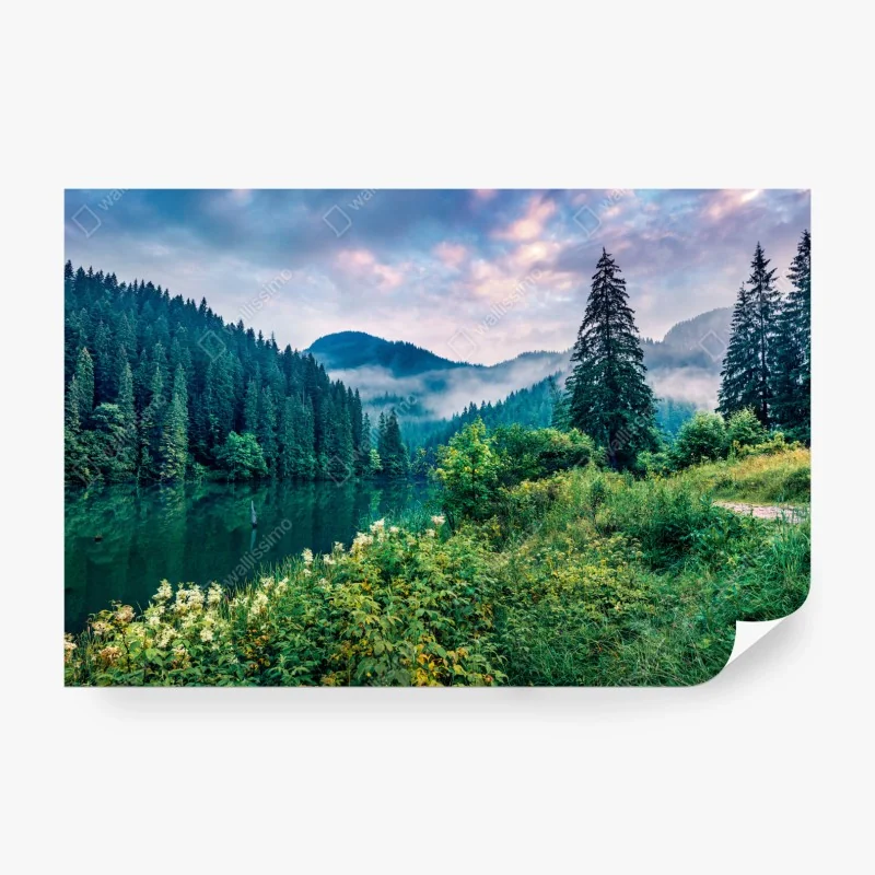 Fototapeta palmy o zachodzie słońca w Kalifornii – Wallissimo®