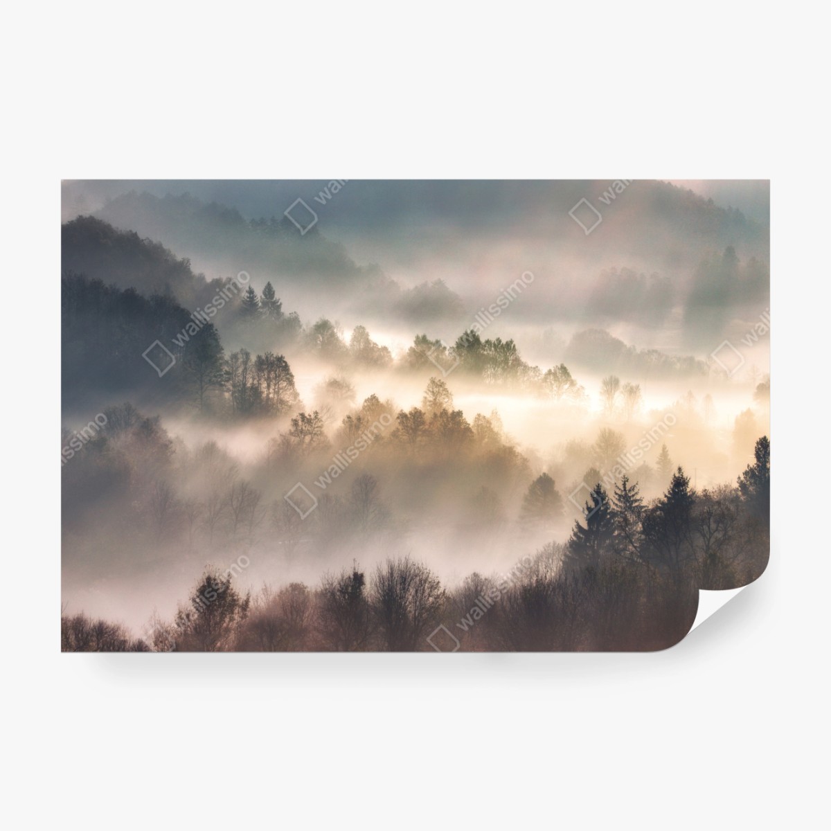 Fototapeta mglisty las o świcie – Wallissimo® Fototapeta mglisty las o świcie – Wallissimo®