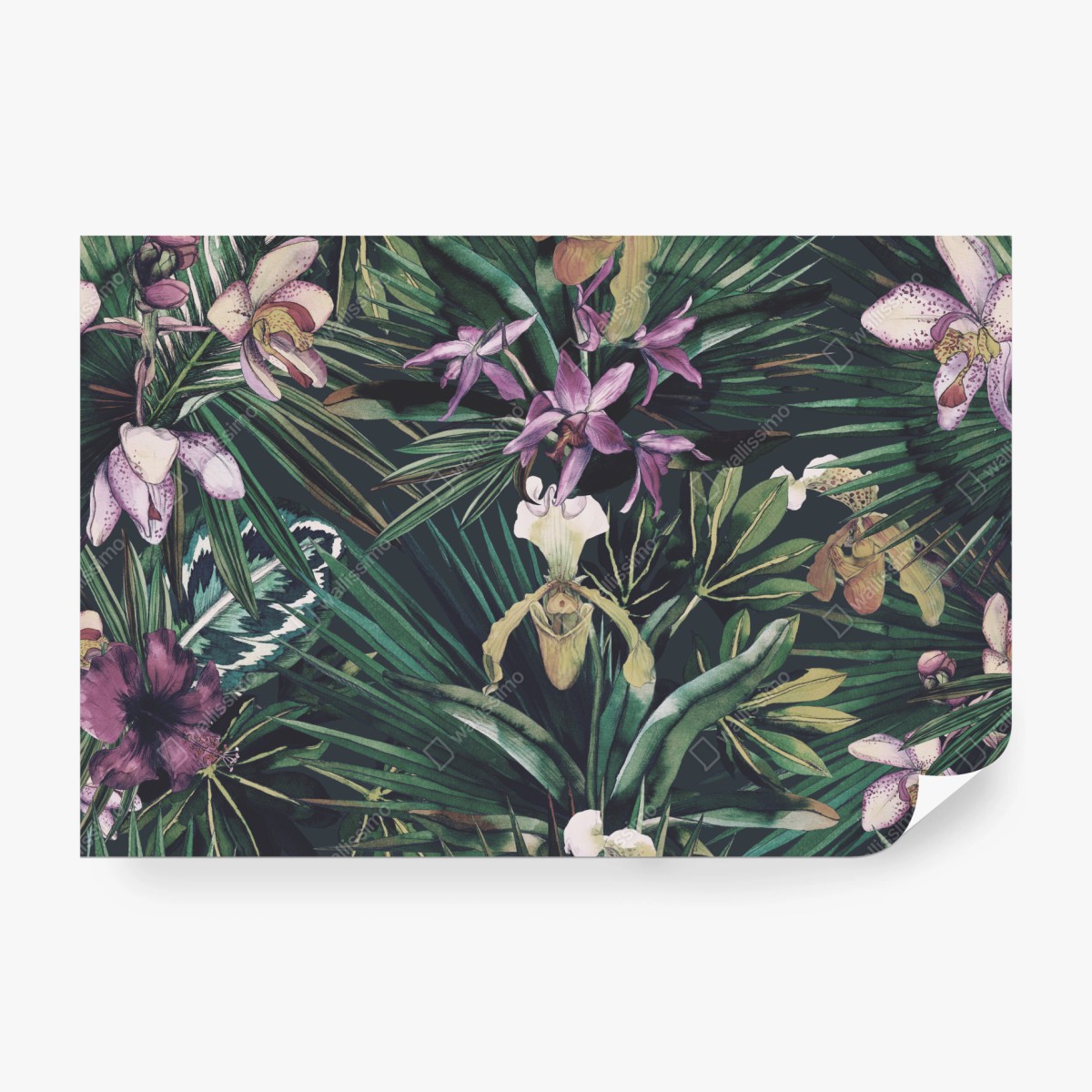 Fototapeta tropikalne akwarelowe orchidee i liście palmowe – Wallissimo® Fototapeta tropikalne akwarelowe orchidee i liście palmowe – Wallissimo®