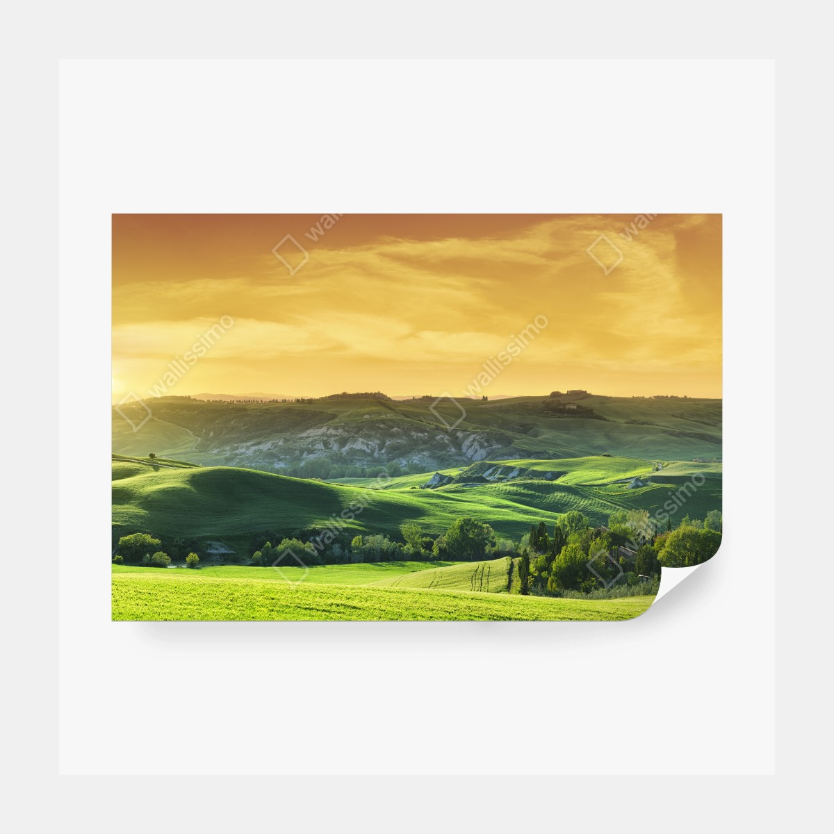 Fototapeta Toskańskie pagórki o zachodzie słońca – Wallissimo® Fototapeta Toskańskie pagórki o zachodzie słońca – Wallissimo®