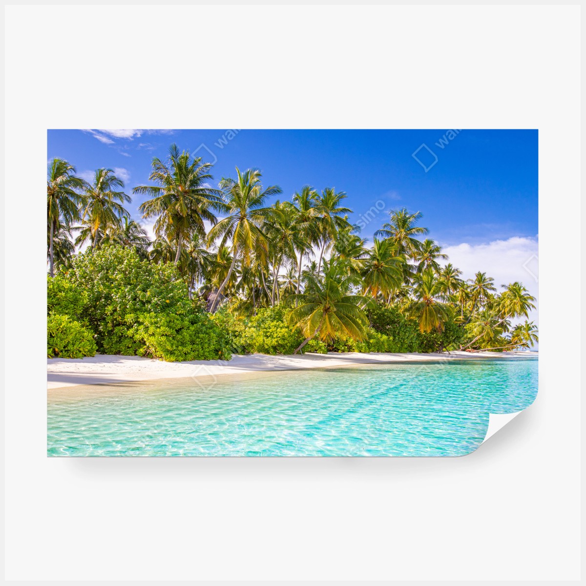 Fototapeta tropikalna plaża z palmami – Wallissimo® Fototapeta tropikalna plaża z palmami – Wallissimo®