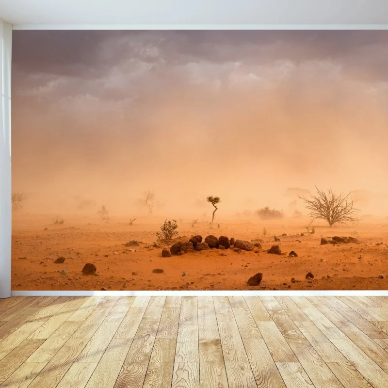 Fototapeta burza piaskowa nad Dollo Ado, Etiopia – Wallissimo® Fototapeta burza piaskowa nad Dollo Ado, Etiopia – Wallissimo®