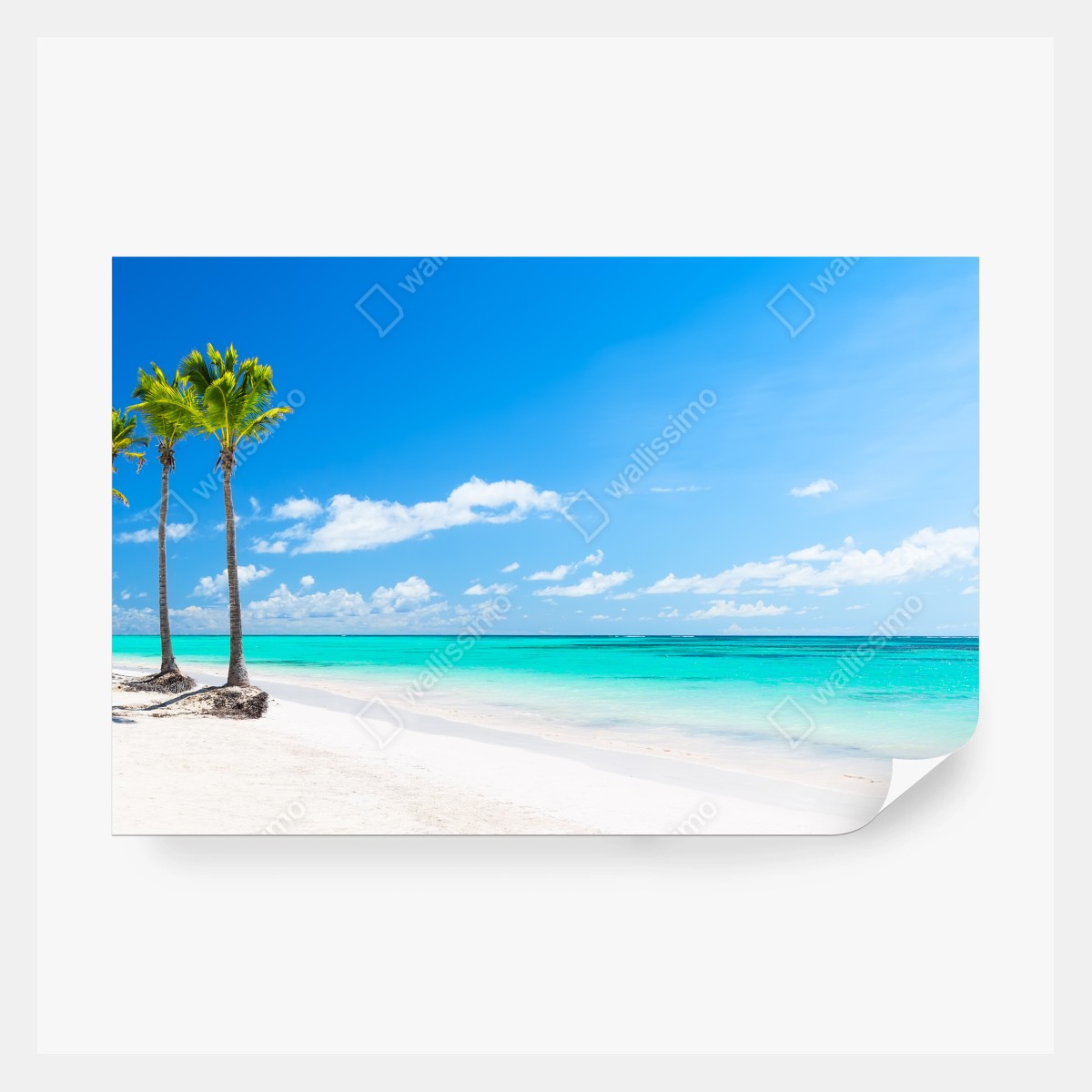 Fototapeta panorama tropikalnej plaży w Punta Cana – Wallissimo® Fototapeta panorama tropikalnej plaży w Punta Cana – Wallissimo®