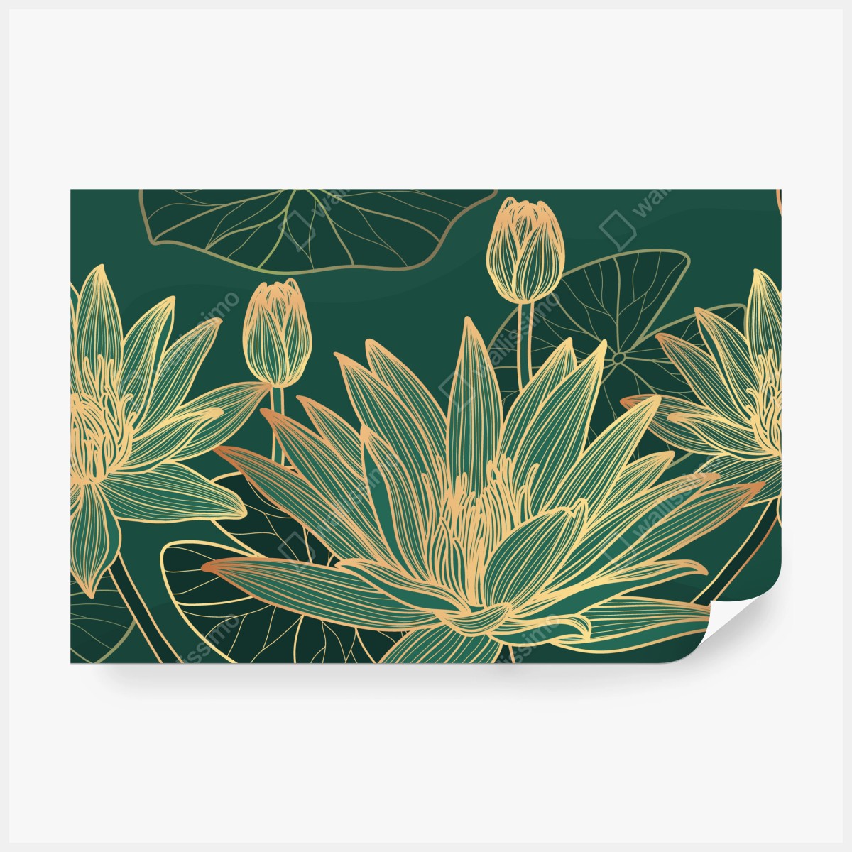 Fototapeta złote kwiaty lotosu na zielonym tle – Wallissimo® Fototapeta złote kwiaty lotosu na zielonym tle – Wallissimo®