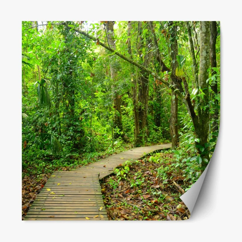 Naklejka repozycjonowalna tropikalna kładka w bujnym lesie