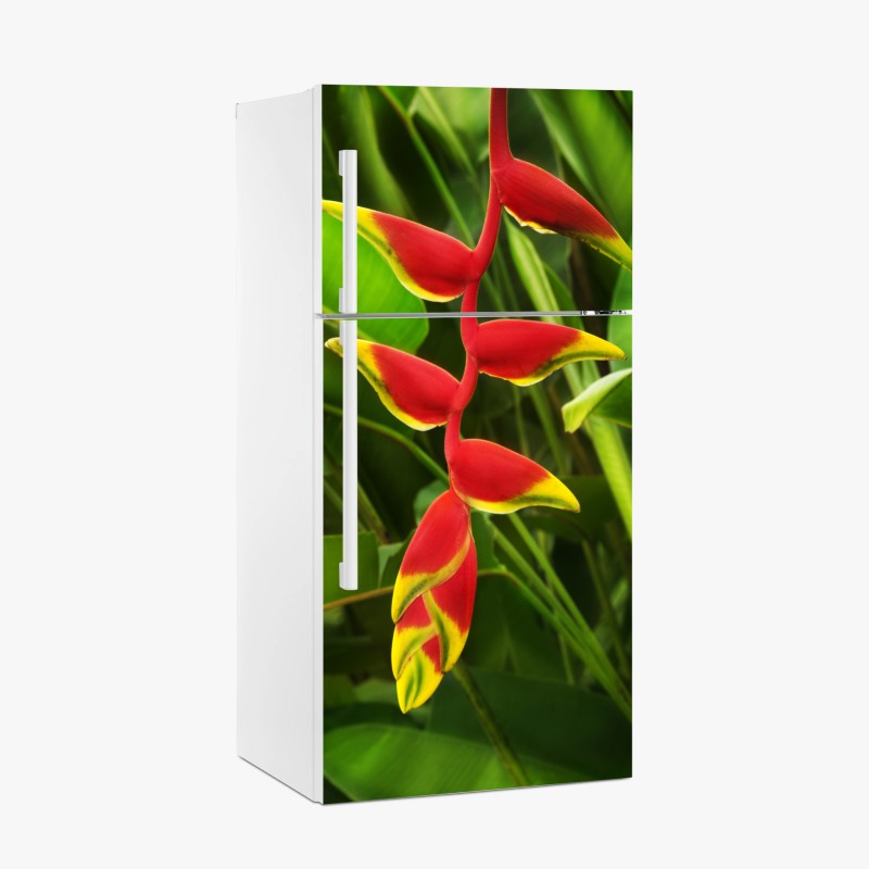 Naklejka na lodówkę wibrująca heliconia w tropikalnym listowiu