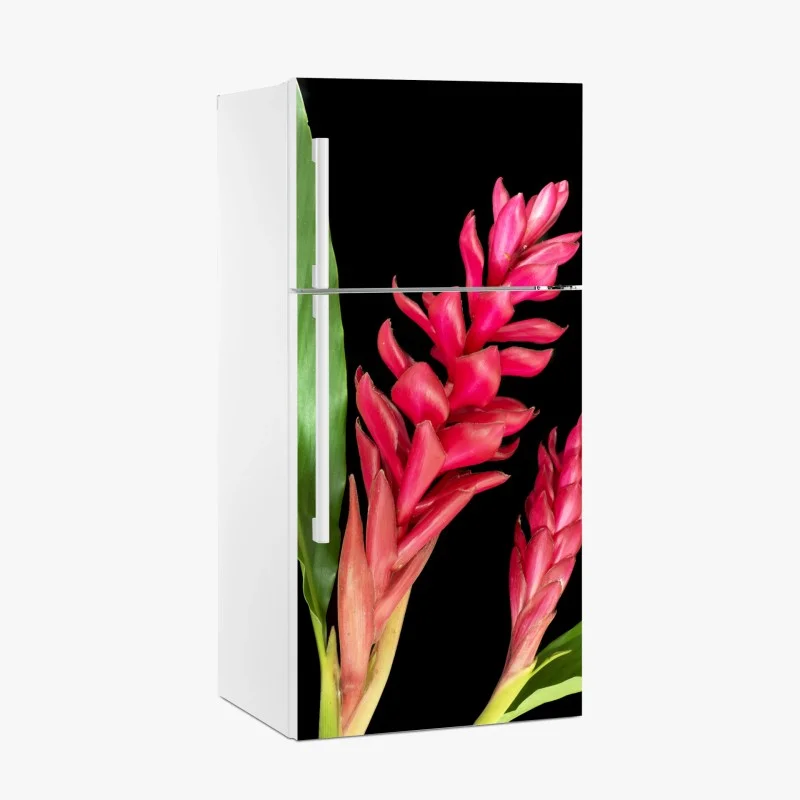 Naklejka na lodówkę żywy kwiat ognia na czarnym tle