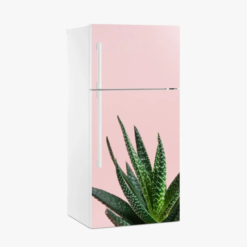 Naklejka na lodówkę zielony aloes na różowym tle