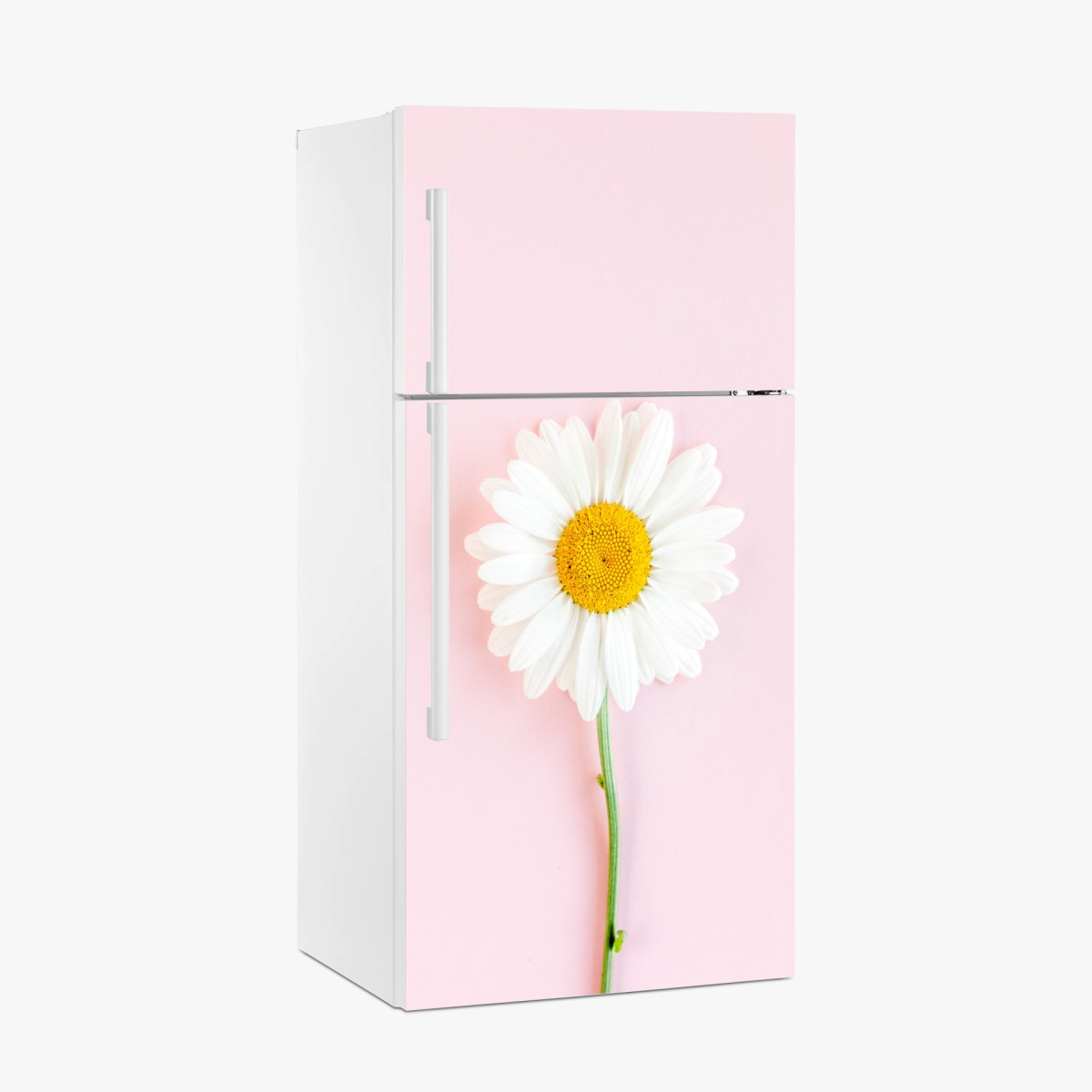 Naklejka na lodówkę biała stokrotka na pastelowym różowym tle – Wallissimo®