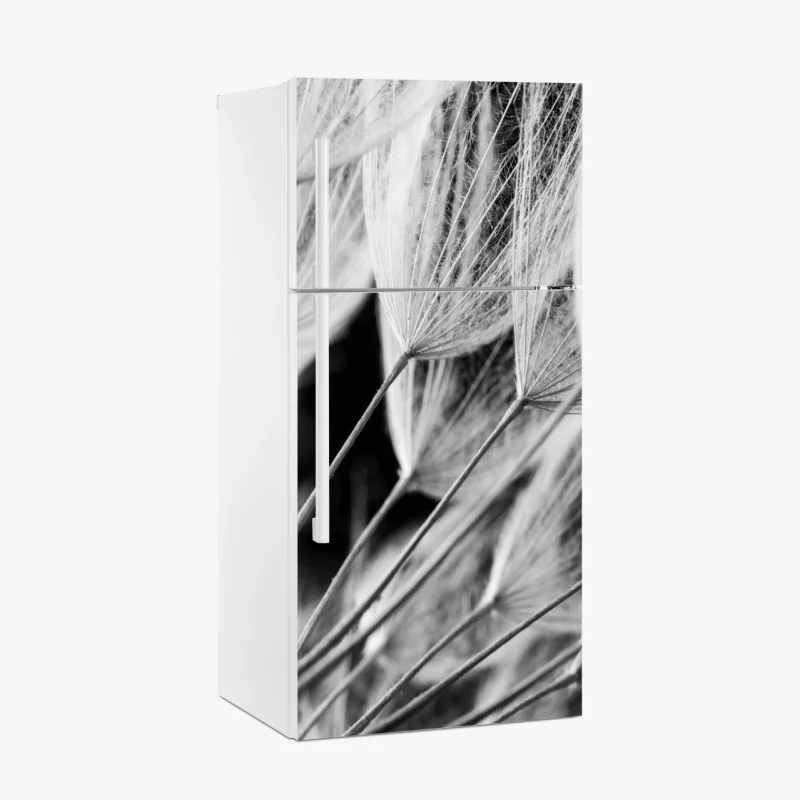 Naklejka na lodówkę delikatne zbliżenie nasion dmuchawca czarno-białe