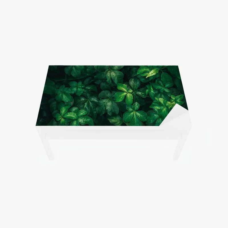 Naklejka na biurko i stół bujne tropikalne zielone liście