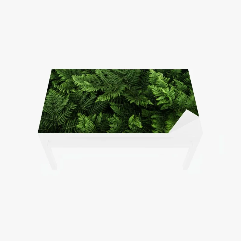 Naklejka na biurko i stół bujna zielona paproć