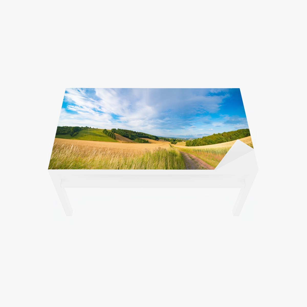 Naklejka na biurko i stół poranna panorama pszenicy w Kansas – Wallissimo®