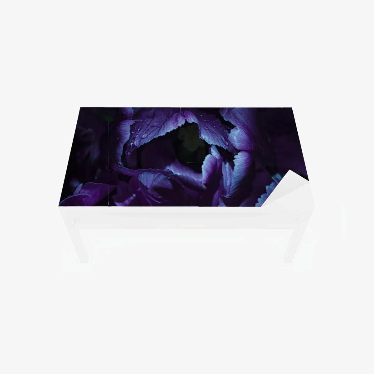 Naklejka na biurko i stół fioletowy tulipan w ultrafiolecie – Wallissimo® Naklejka na biurko i stół fioletowy tulipan w ultrafiolecie – Wallissimo®
