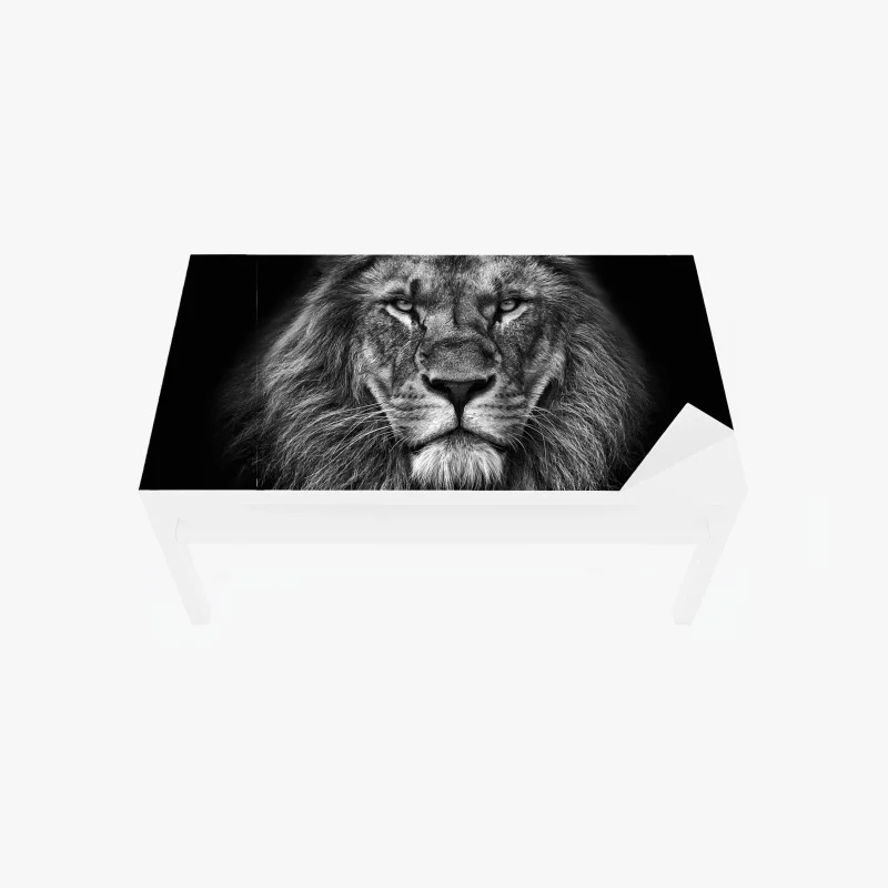 Naklejka na biurko i stół majestatyczny portret lwa w monochromie