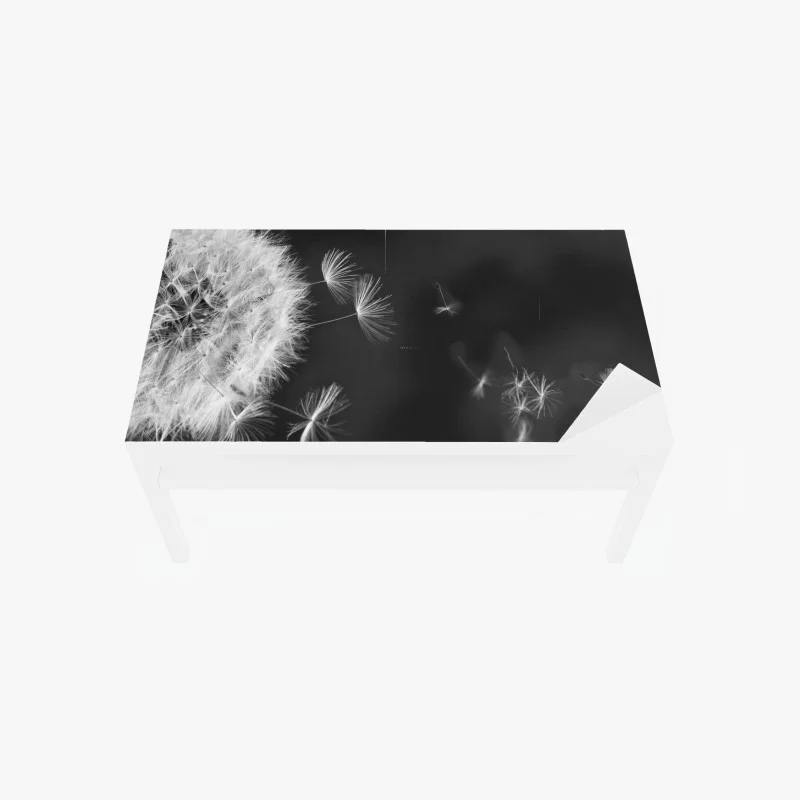 Naklejka na biurko i stół unoszące się nasiona mniszka