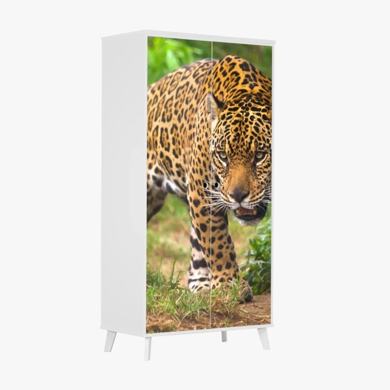 Naklejka na szafę majestatyczny jaguar w naturze