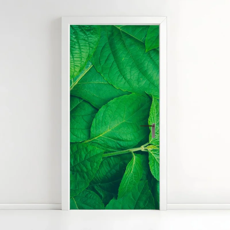 Naklejka na drzwi soczyste zielone liście