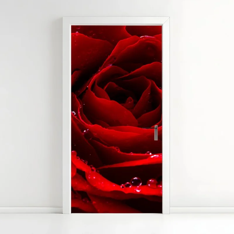 Naklejka na drzwi żywa czerwona róża - zbliżenie