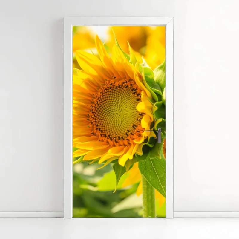Naklejka na drzwi zbliżenie słonecznika