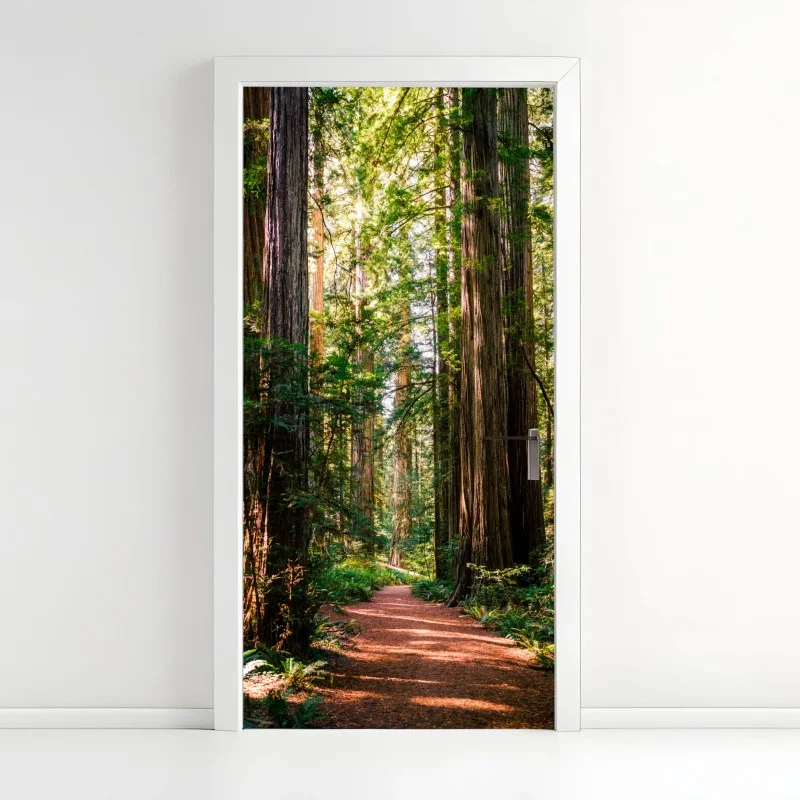 Naklejka na drzwi majestatyczna ścieżka w lesie sekwoi