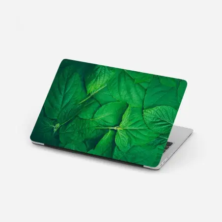 Naklejka na laptopa soczyste zielone liście – Wallissimo®