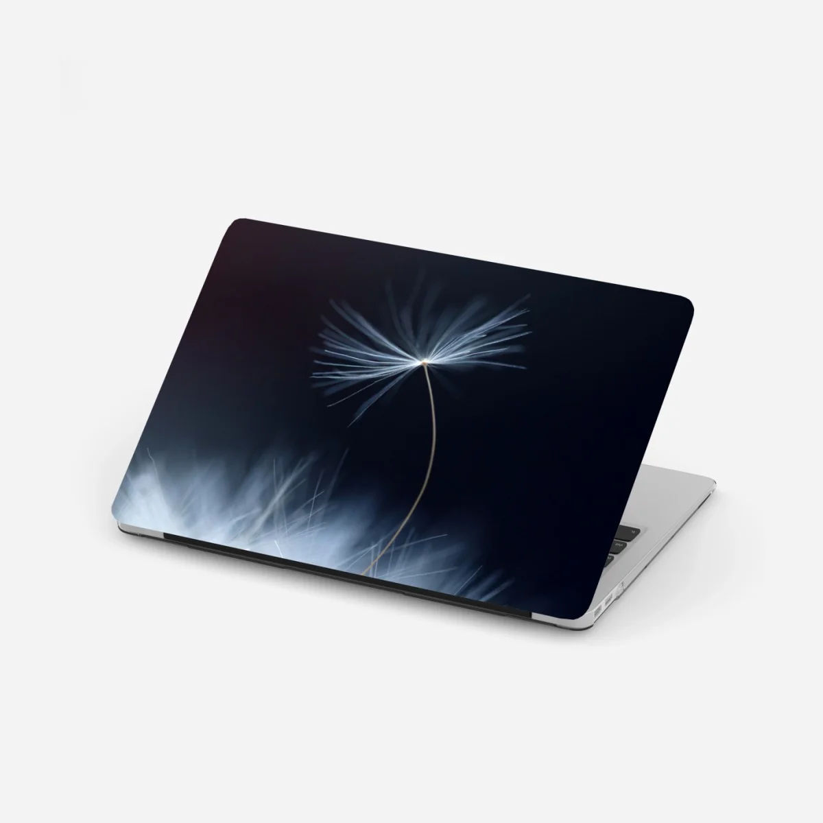 Naklejka na laptopa delikatne zbliżenie nasiona dmuchawca – Wallissimo® Naklejka na laptopa delikatne zbliżenie nasiona dmuchawca – Wallissimo®