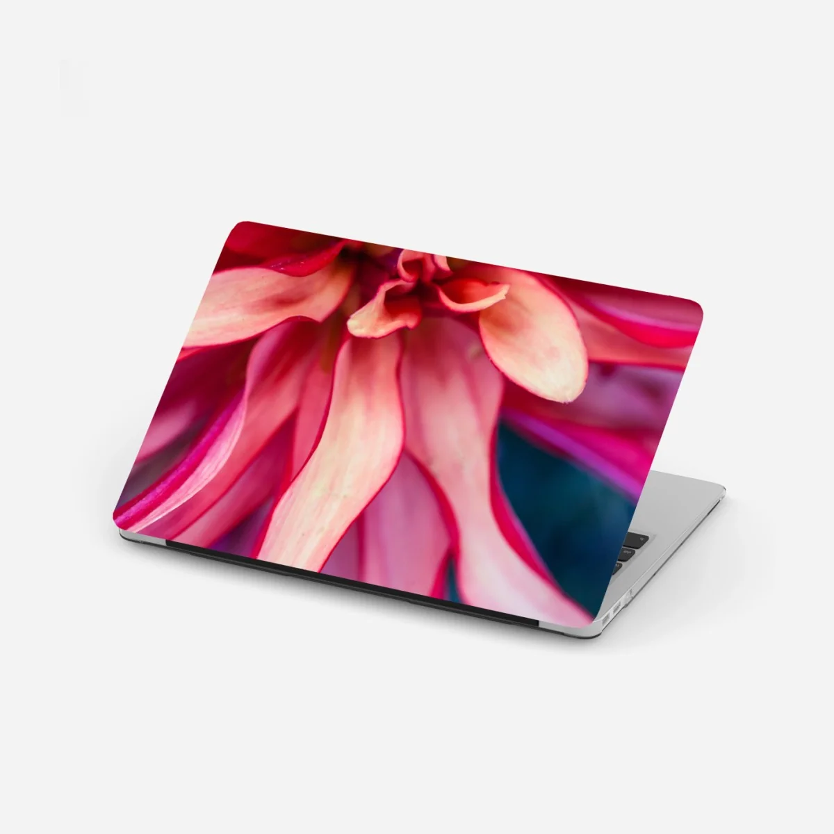 Naklejka na laptopa żywe różowe makro kwiatu – Wallissimo® Naklejka na laptopa żywe różowe makro kwiatu – Wallissimo®