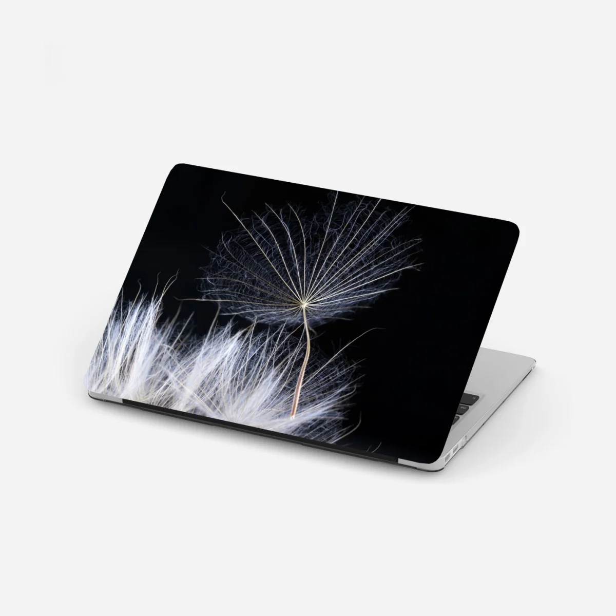 Naklejka na laptopa delikatne ziarno mniszka na czarnym tle – Wallissimo® Naklejka na laptopa delikatne ziarno mniszka na czarnym tle – Wallissimo®