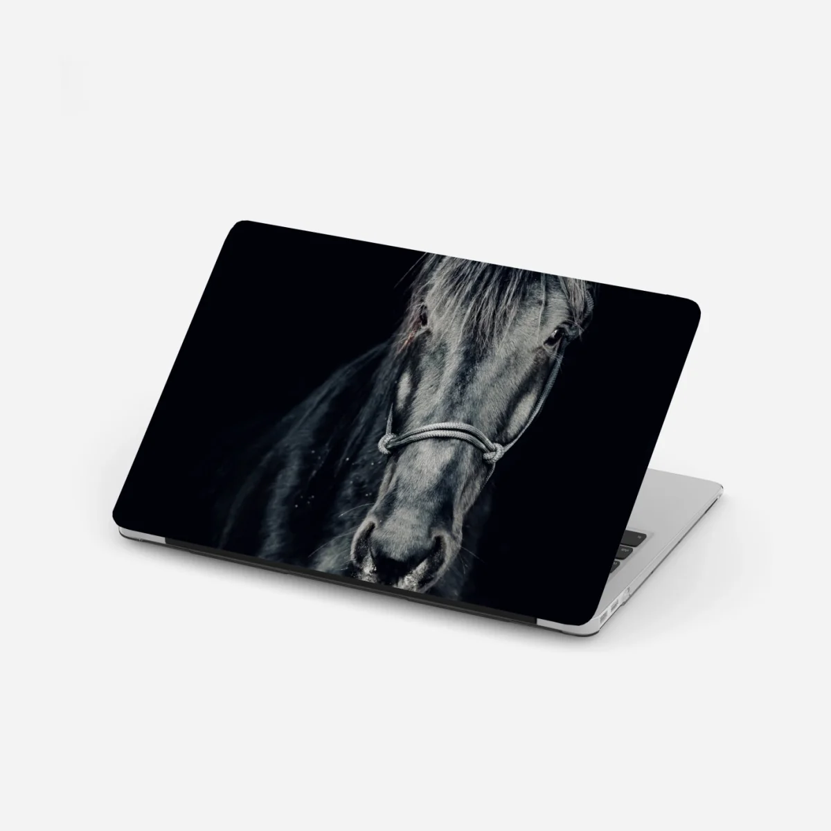 Naklejka na laptopa majestatyczny czarny portret konia – Wallissimo® Naklejka na laptopa majestatyczny czarny portret konia – Wallissimo®