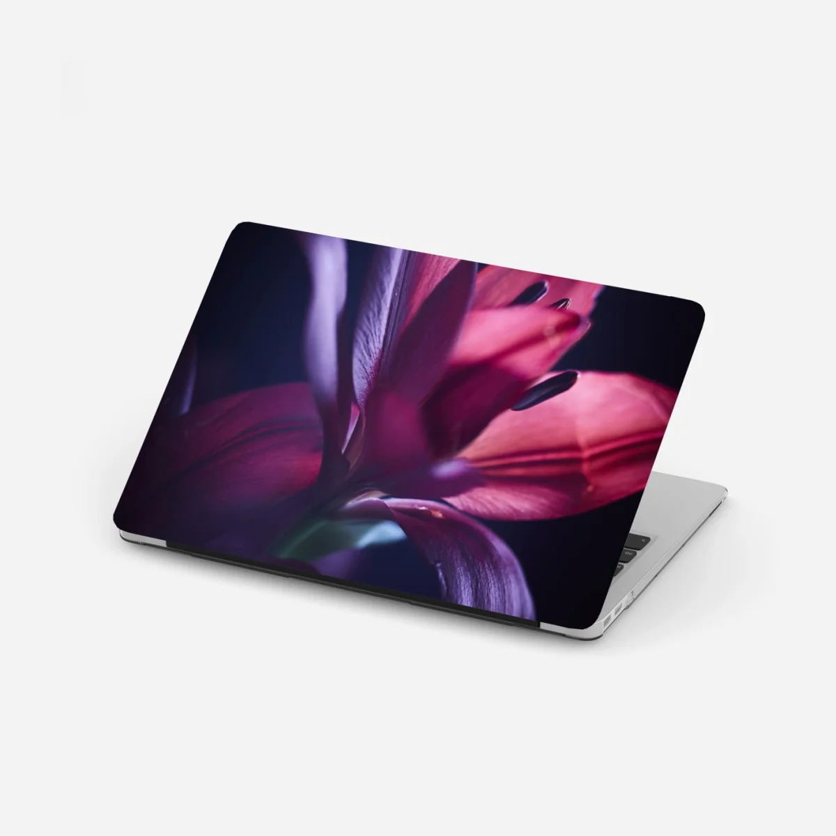 Naklejka na laptopa czerwona lilia w półmroku – Wallissimo® Naklejka na laptopa czerwona lilia w półmroku – Wallissimo®