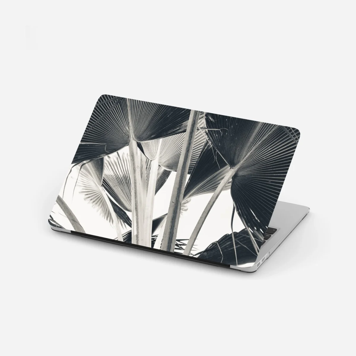 Naklejka na laptopa tropikalna kompozycja liści bananowca – Wallissimo® Naklejka na laptopa tropikalna kompozycja liści bananowca – Wallissimo®