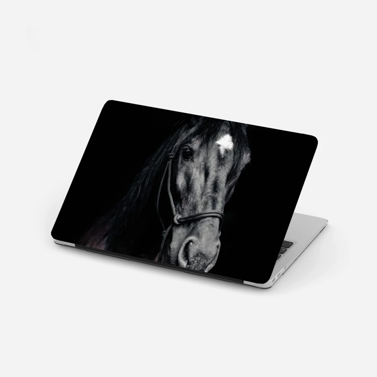 Naklejka na laptopa majestatyczny portret konia – Wallissimo® Naklejka na laptopa majestatyczny portret konia – Wallissimo®