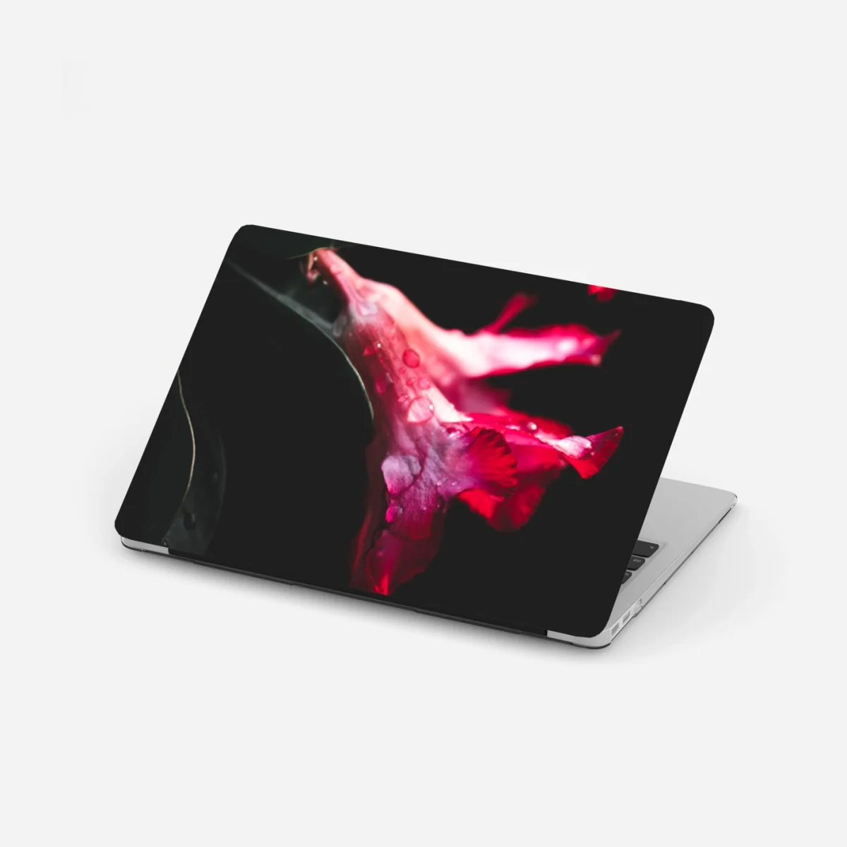 Naklejka na laptopa różowy kwiat trąbkowy z kroplami rosy – Wallissimo® Naklejka na laptopa różowy kwiat trąbkowy z kroplami rosy – Wallissimo®