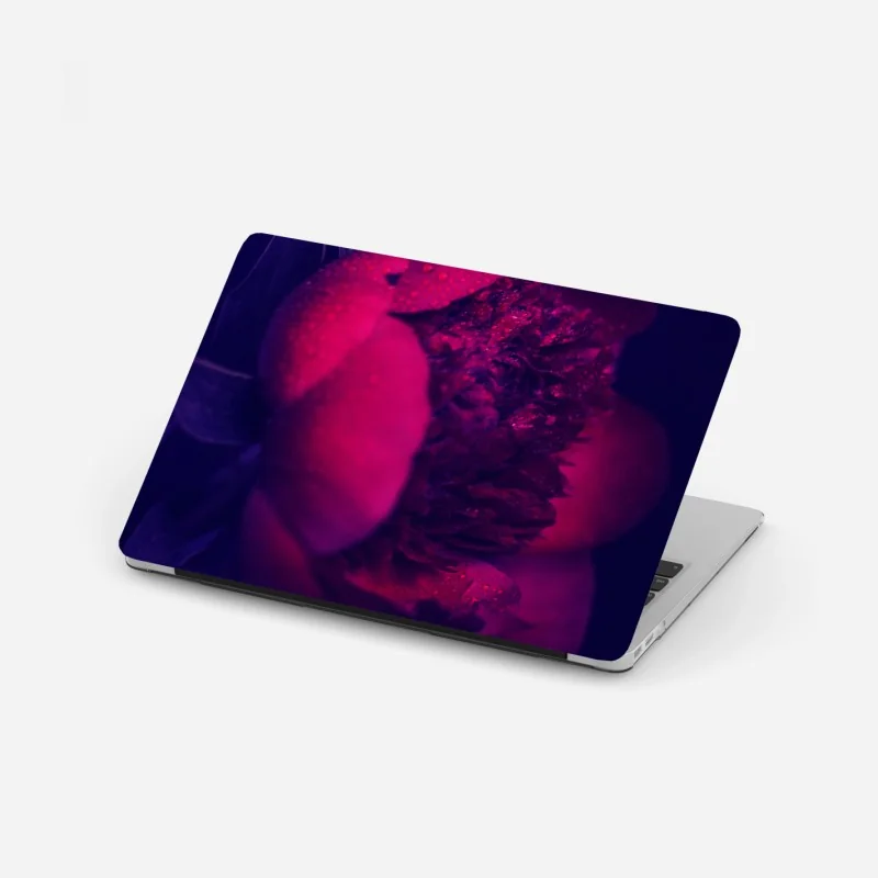 Naklejka na laptopa mglisty sosnowy las nocą – Wallissimo®